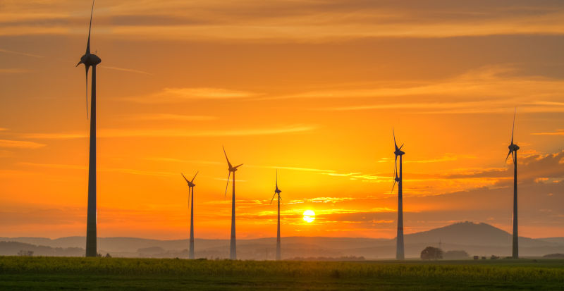 Sunrise over windmills and a field